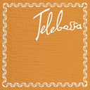 TELEBOSSA - Telebossa |