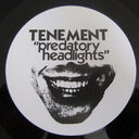 Predatory Headlights | Mint (M) Mint (M)