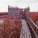 TENNISCOATS - Tan-Tan Therapy (CD) | Mint (M) Mint (M)