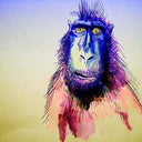 TER - Fingerprints |