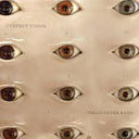 Thalia Zedek Band - Perfect Vision | Mint (M) Mint (M)