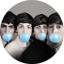 Pop Go The Beatles (Picture Disc Vinyl) [Import] |