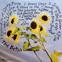 The Beths Expert In A Dying Field Carpark Records LP, Album, Can Mint (M) Mint (M)