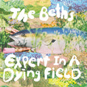 The Beths - Expert In A Dying Field |