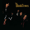The Black Crowes - Shake Your Money Maker: 30th Anniversary (Indie Exclusive) | Mint (M) Mint (M)