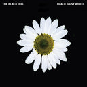 The Black Dog - Black Daisy Wheel |