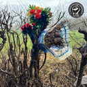 Sleep Deprivation (VINYL) [Import] | Mint (M) Mint (M)