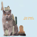 The Brian Jonestown Massacre - Fire Doesn't Grow On Trees |