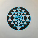 The Brian Jonestown Massacre - Mini Album Thingy Wingy | Mint (M) Mint (M)