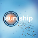 The Brian Jonestown Massacre - The Sun Ship | Mint (M) Mint (M)
