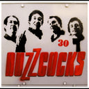 The Buzzcocks - Thirty |