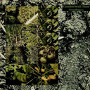 Meridian / Greenfingers (The EP Collection) | Mint (M) Mint (M)