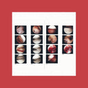 The Cradle - Laughing In My Sleep [Vinyl]