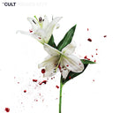 Hidden City (Cv 45 Audiophile Edition) [Vinyl]