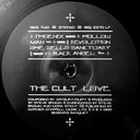 Love (VINYL) | Mint (M) Mint (M)