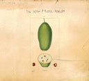 THE DORF/PHILL NIBLOCK - Baobab |
