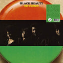 THE EXCITERS - Black Beauty |