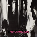 The Flaming Lips - In A Priest Driven Ambulance (Vinyl) | Mint (M) Mint (M)