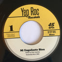 The Fleshtones - Mi Engañaste Bien b/w Decimos Yeah! | Mint (M) Mint (M)