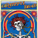 The Grateful Dead - Grateful Dead | Mint (M) Mint (M)