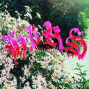 The HIRS Collective - We'Re Still Here (White VINYL) | Mint (M) Mint (M)