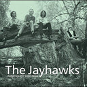 The Jayhawks - Tomorrow the Green Grass | Mint (M) Mint (M)