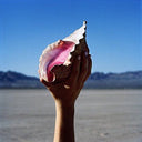 The Killers - Wonderful Wonderful (VINYL) | Mint (M) Mint (M)