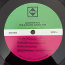 The Lemonheads - It's A Shame About Ray | Mint (M) Mint (M)