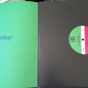 The Lemonheads - It's A Shame About Ray | Mint (M) Mint (M)