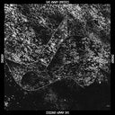 Sworn [Vinyl]