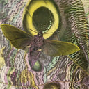 Pay Attention! [CD]