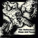 Slugs and Toads |