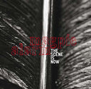 Magpie Alarm [CD]