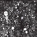 The Telescopes - As Light Return |