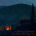 The Travelin' Mccourys - One Chord That Rings True (CD) | Mint (M) Mint (M)