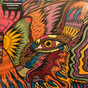 The Tronosonic Experience - The Shadow Vol II | Mint (M) Mint (M)