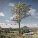 The Waterboys - All Souls Hill (CD) | Mint (M) Mint (M)
