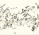 There Is No More Firmament [CD]