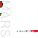Thirty Seconds To Mars - A Beautiful Lie (VINYL) | Mint (M) Mint (M)