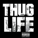 Thug Life/2Pac - Thug Life: Volume 1 [LP] | Mint (M) Mint (M)