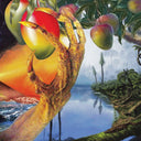 TIMELASH - A Morphology Of Wonders |