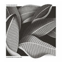 TOMASZ BEDNARCZYK - Illustrations For Those Who |