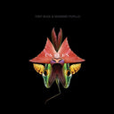 TONY BUCK & MASSIMO PUPILLO - Unseen (CD) | Mint (M)