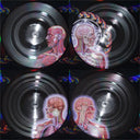 Lateralus | Mint (M) Mint (M)