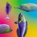 A Visual Brain: 1986-1993 |