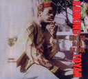TOYAN - Ghetto Man Skank |