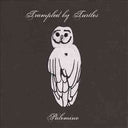 Trampled By Turtles - Palomino (VINYL) | Mint (M) Mint (M)