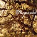 Travis - The Invisible Band (20th Anniversary) [LP] | Mint (M) Mint (M)