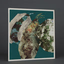 Minor Planets | Mint (M) Mint (M)