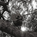 "Hello, Hi" [CD]
